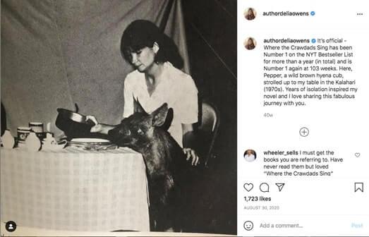 instagram author page