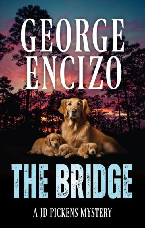 The Bridge, 9781662938566, Paperback
