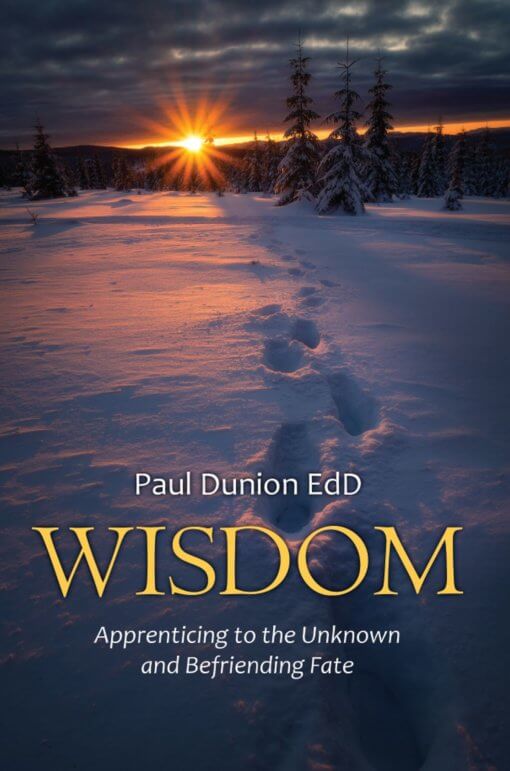 Wisdom: Apprenticing to the Unknown and Befriending Fate, 9781662907357, Paperback