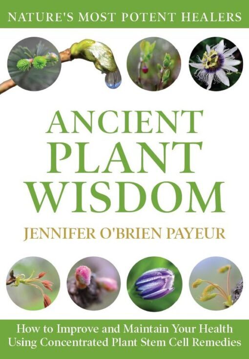 Ancient Plant Wisdom, 9781662957918, Paperback